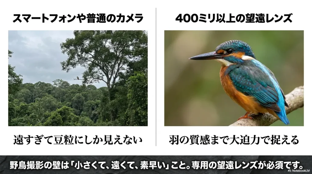遠すぎて豆粒にしか見えない風景写真と、専用の望遠レンズで羽の質感まで大迫力で捉えたカワセミの比較